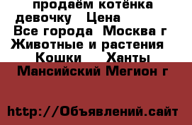 продаём котёнка девочку › Цена ­ 6 500 - Все города, Москва г. Животные и растения » Кошки   . Ханты-Мансийский,Мегион г.